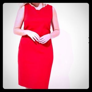 LOFT Scalloped Sheath Dress Size 22 NWT